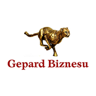 Gepardy Biznesu